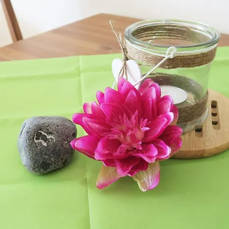 Appartement Alexandra - 13-10 *